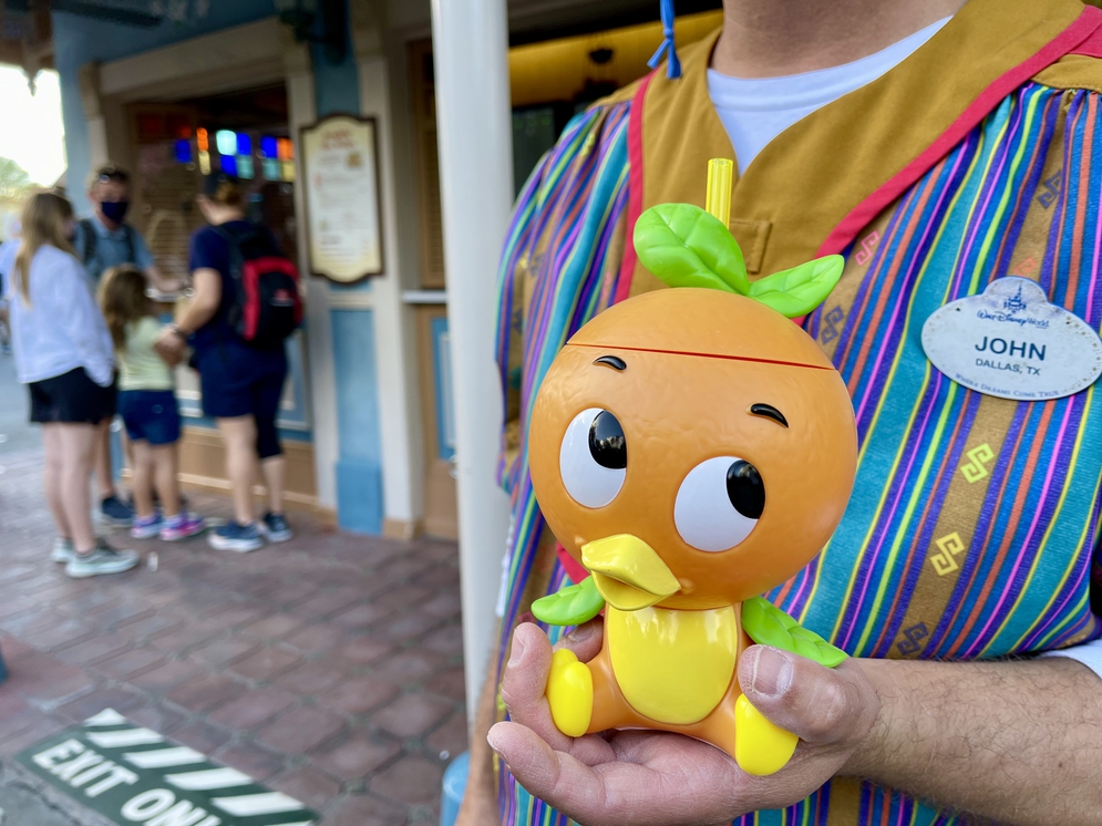 the-orange-bird-sipper-can-now-be-found-in-a-different-park!