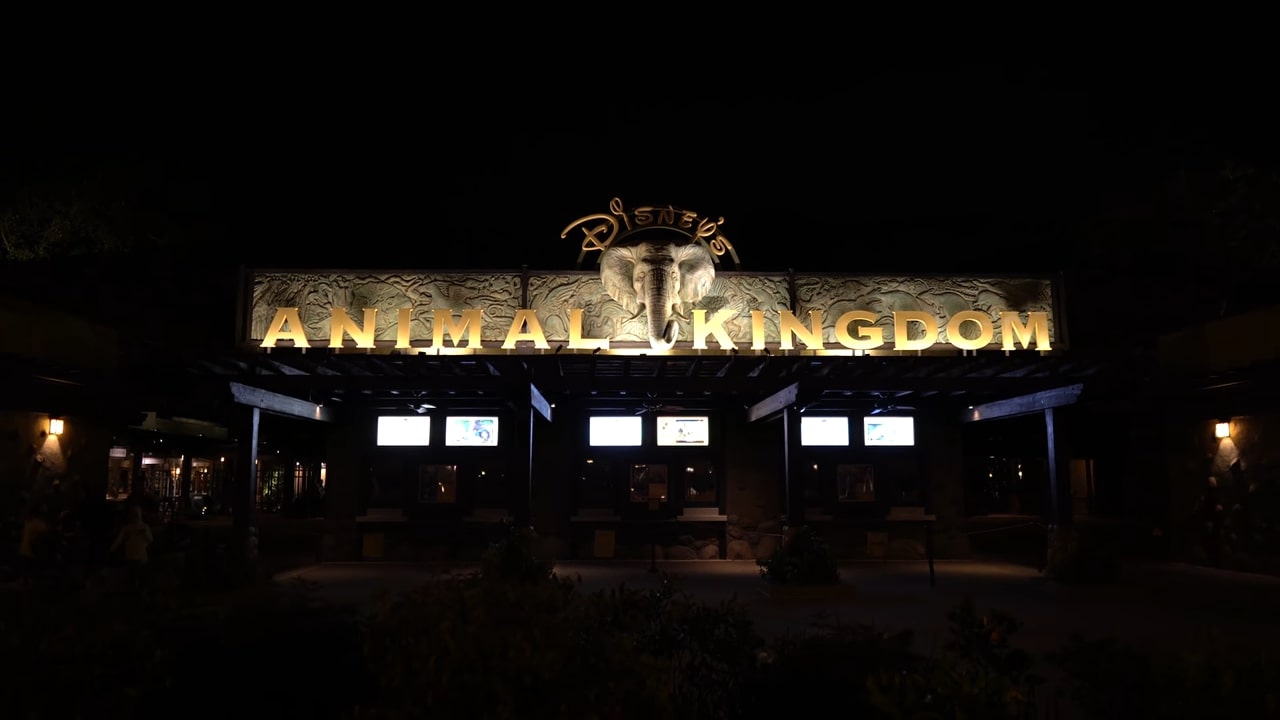 EPCOT Hidden Gems: The Best Kept Secrets of World Showcase 6 Disneys Animal Kingdom Nightime - Night‑time Nooks: Low‑Key Views of Fireworks and World Showcase Lights