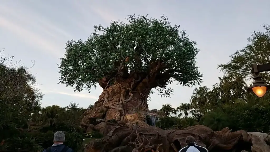Complete Guide To Disney's Animal Kingdom Attractions and Rides 2