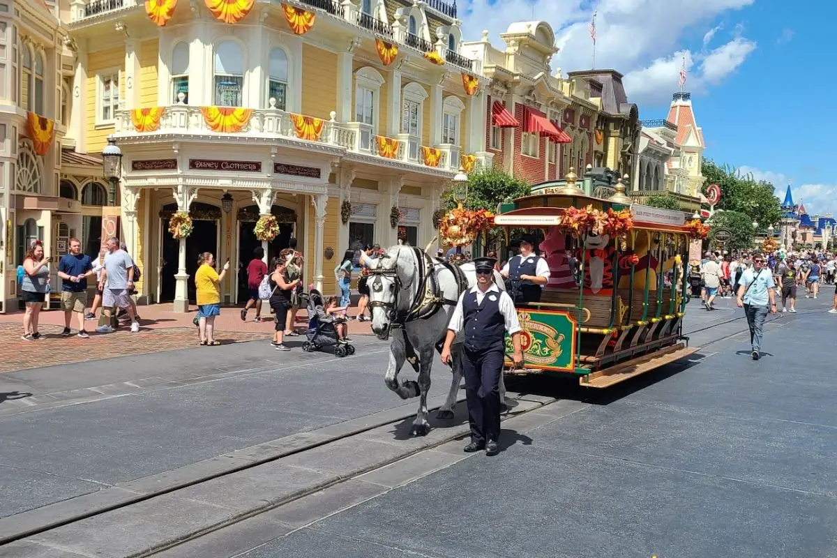 Do Disney World Employees Get Free Tickets? Tips 4
