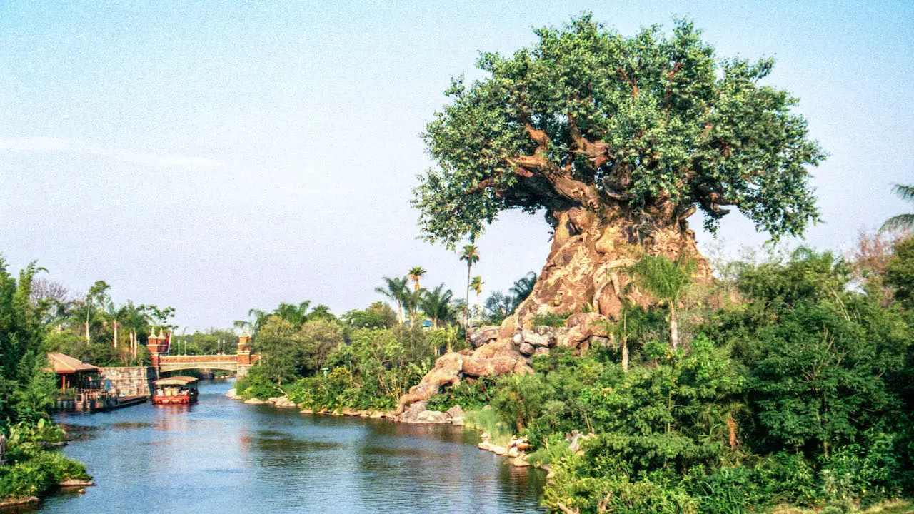 8 Disney World Questions You Need Answers to Planning 10