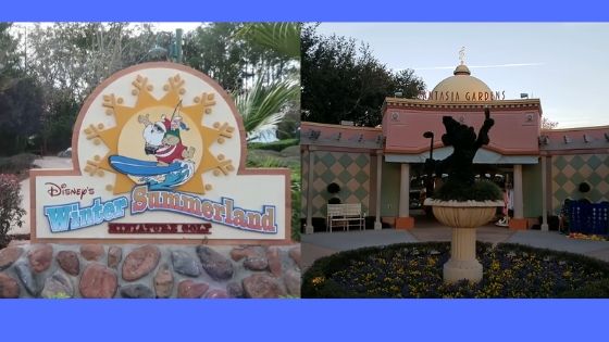 10 Top Secret Disney World Tips (Number 5 Is Awesome!) 33