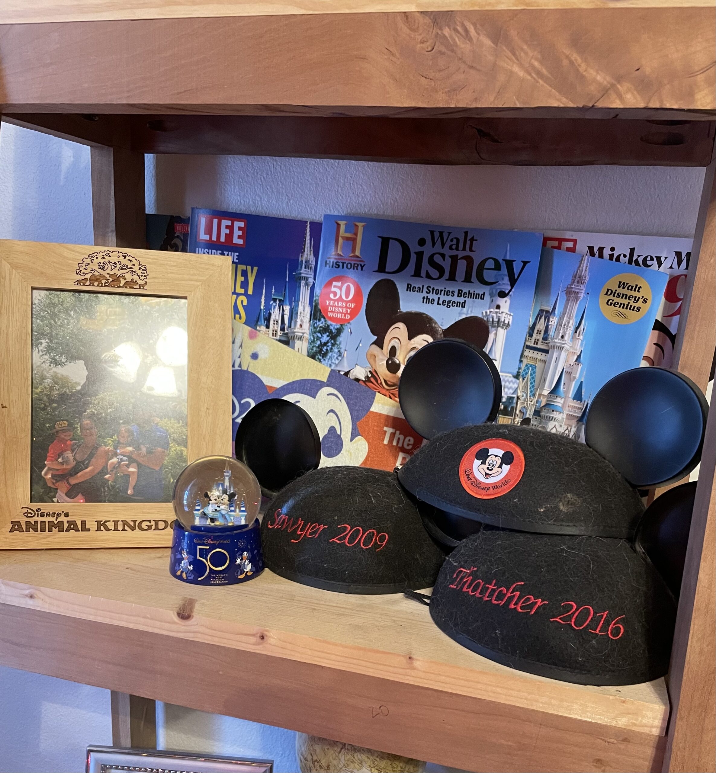 10 Top Secret Disney World Tips (Number 5 Is Awesome!) 10