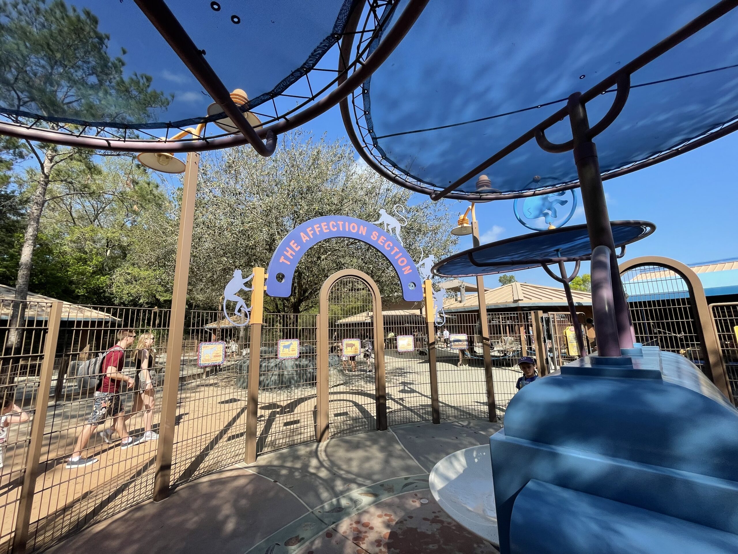 Does Disney World Have Wi-Fi? 4 Animal Kingdom Entrance Shade