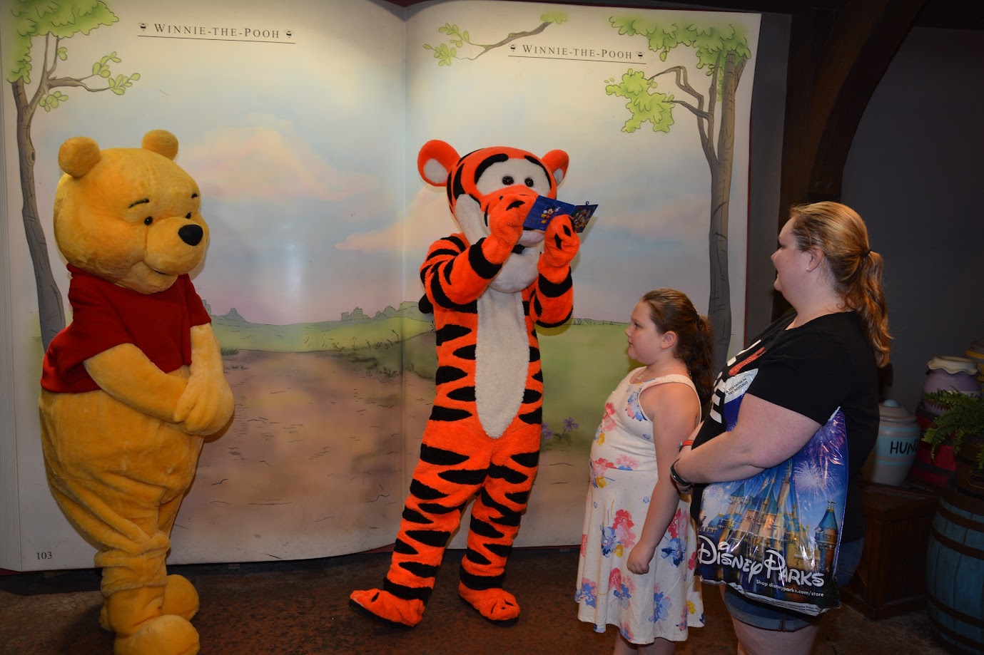 Disney World Stroller Rental: Cost, Rules, and Whether To... 6 Disney World Winnie The Pooh Tigger Meet