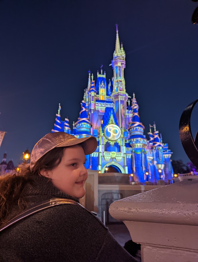 Does Disney World Have Wi-Fi? 3 Cinderella Castle Magic Kingdom Nighttime Magic