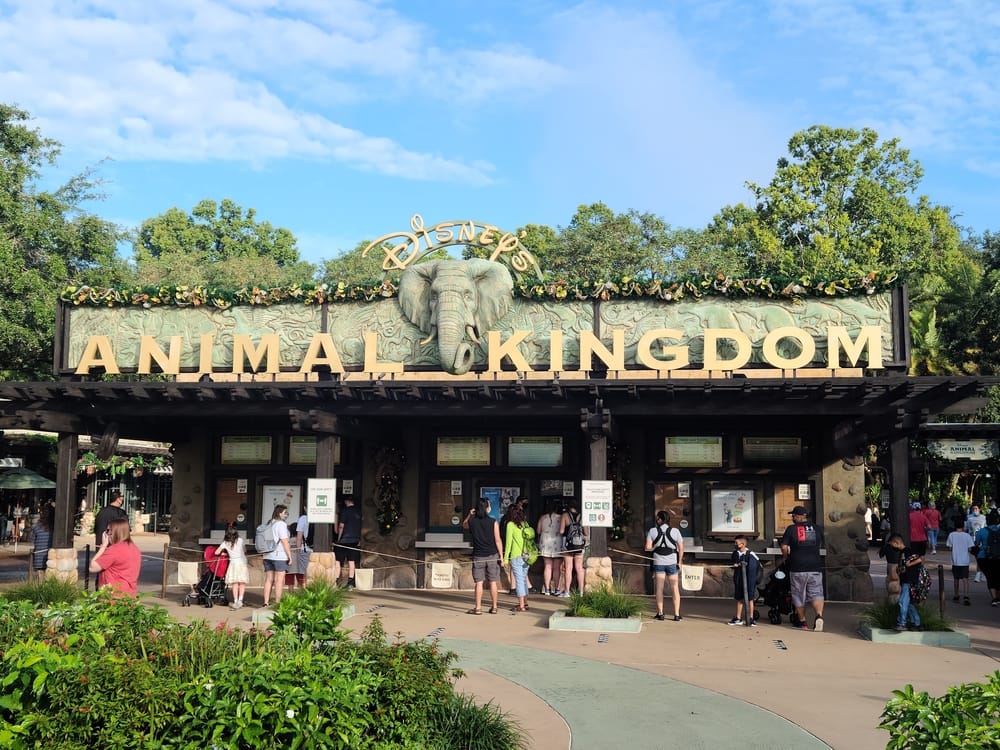 Disney's Animal Kingdom Restaurants: Complete Guide 1