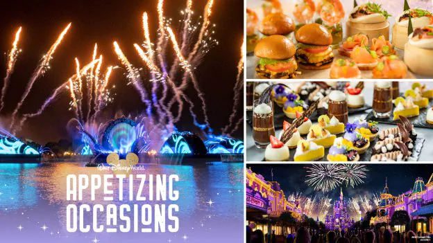 Best Places to View the Magic Kingdom Fireworks From Disney World Magic Kingdom 10
