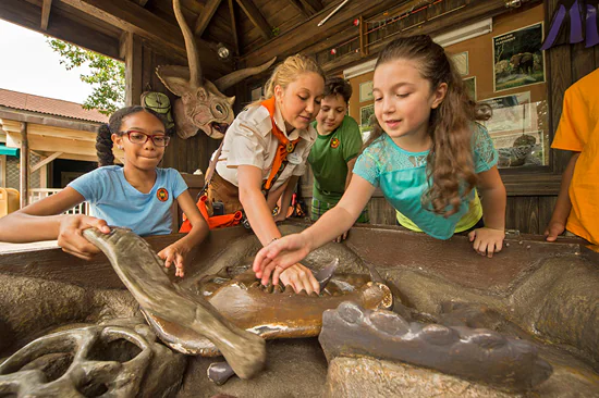 Be A Wilderness Explorer at Disney's Animal Kingdom! Animal Kingdom 2