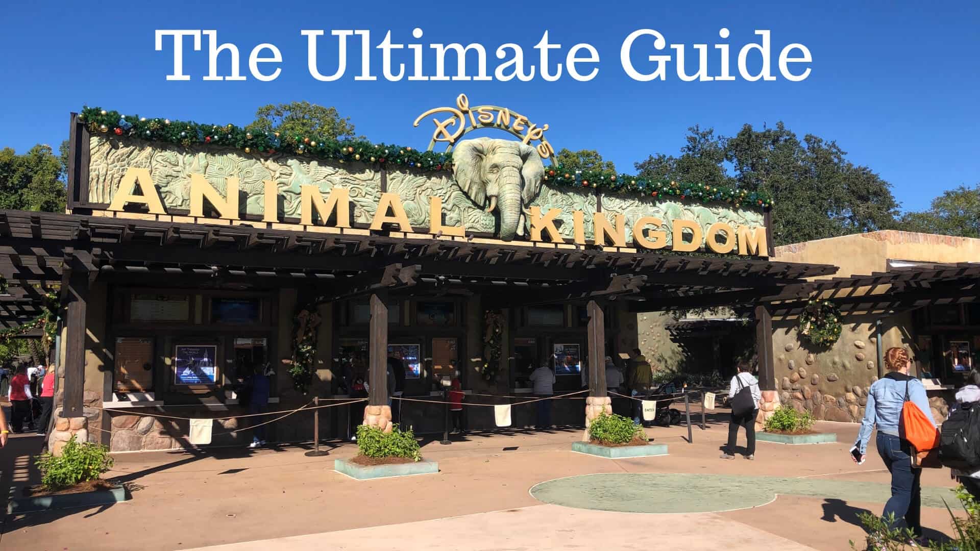 Disney's Animal Kingdom : The Ultimate Guide Animal Kingdom 1