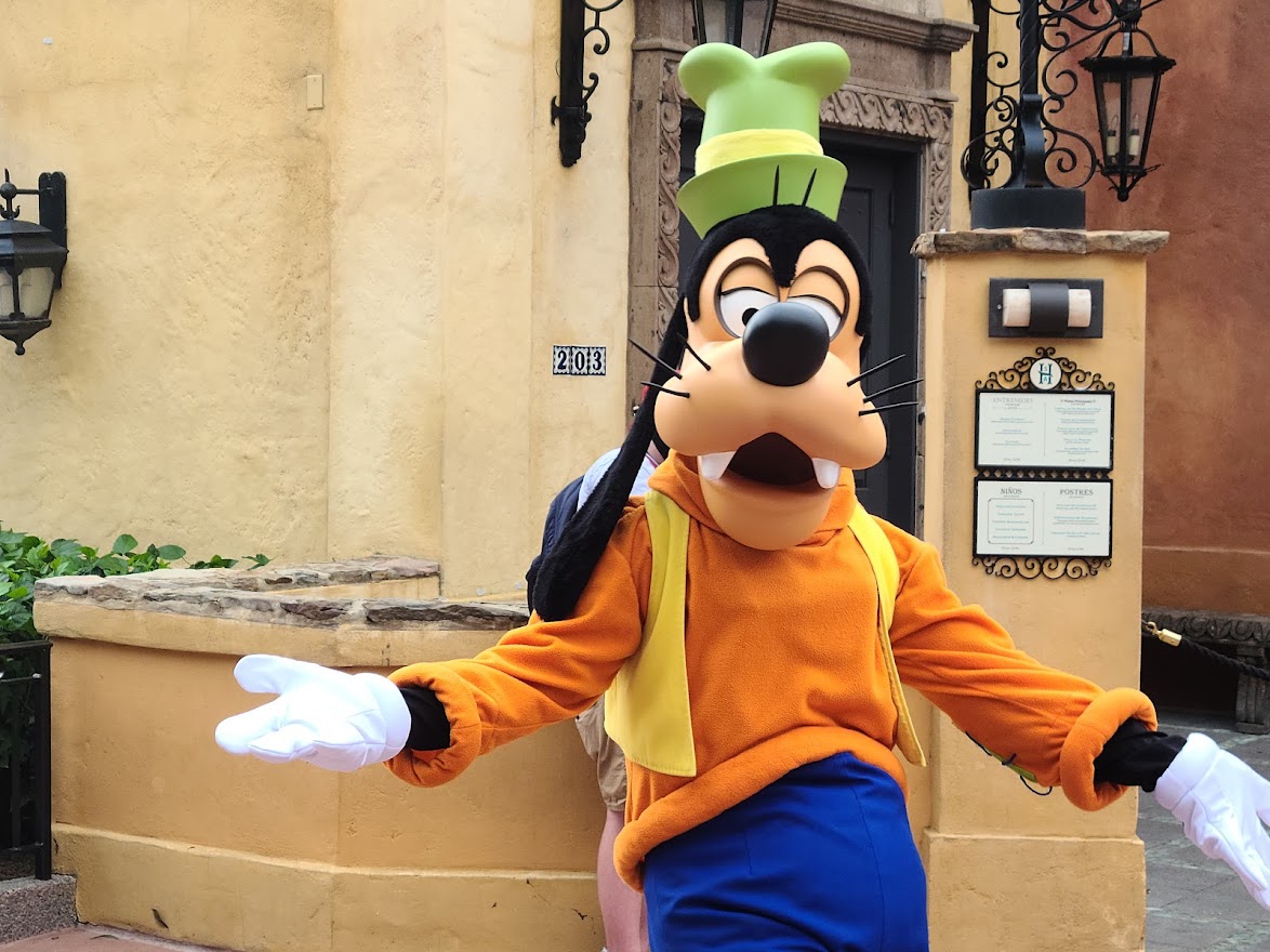 Is Disney World Overrated? Is It Worth The Visit? Tips 1