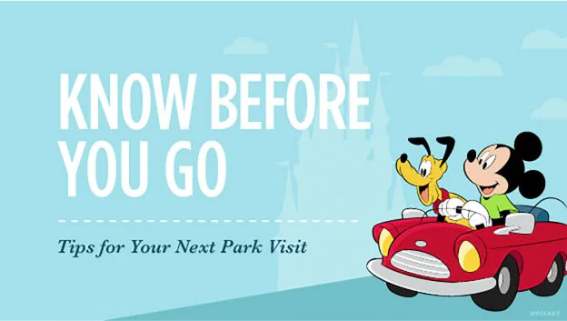 Mickey Pluto Car Tips