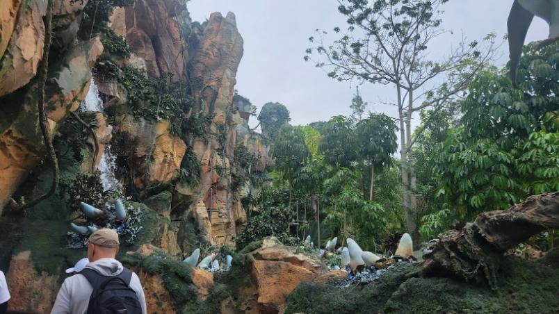 Pandora World Of Avatar Disney Animal Kingdom