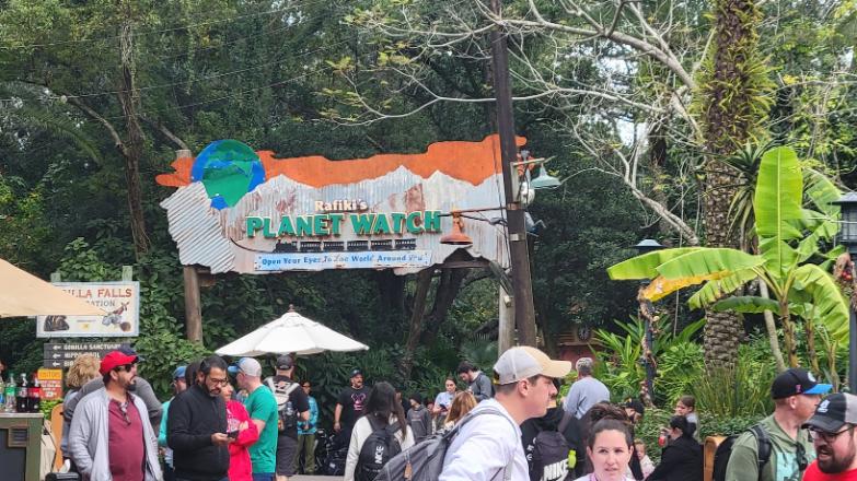 Disney World Rainforest Cafe Rafikis Planet Watch
