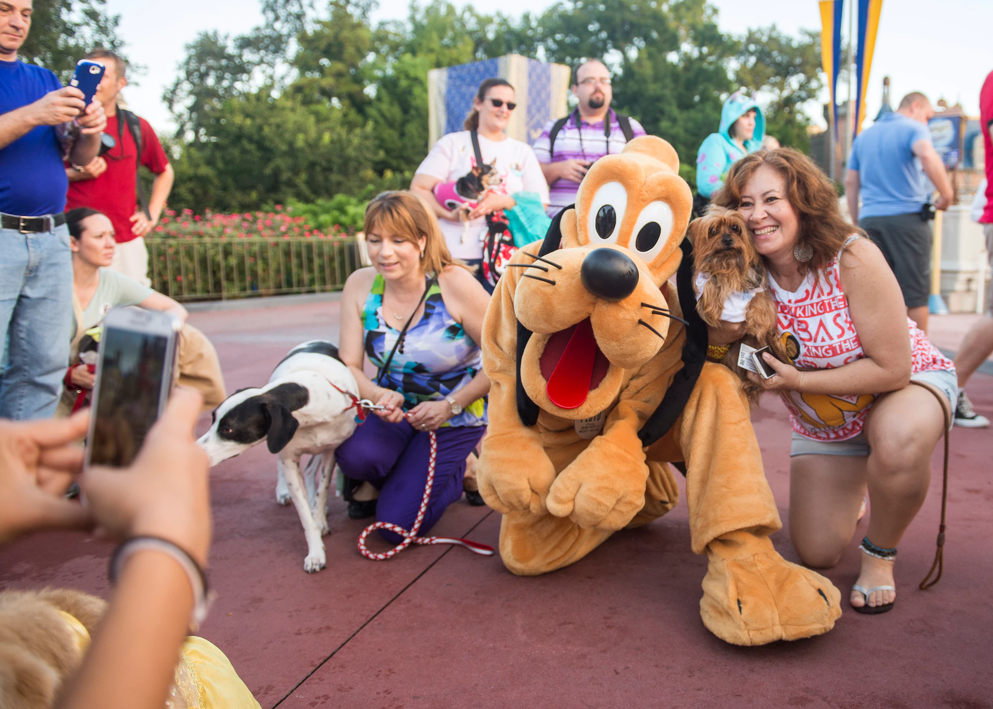 Can You Bring Dogs To Disneyland