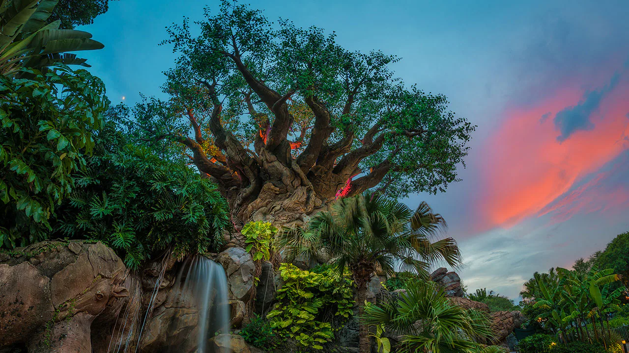 Instagram Worthy Photo Spots & Tips Around Disney World Animal Kingdom 2