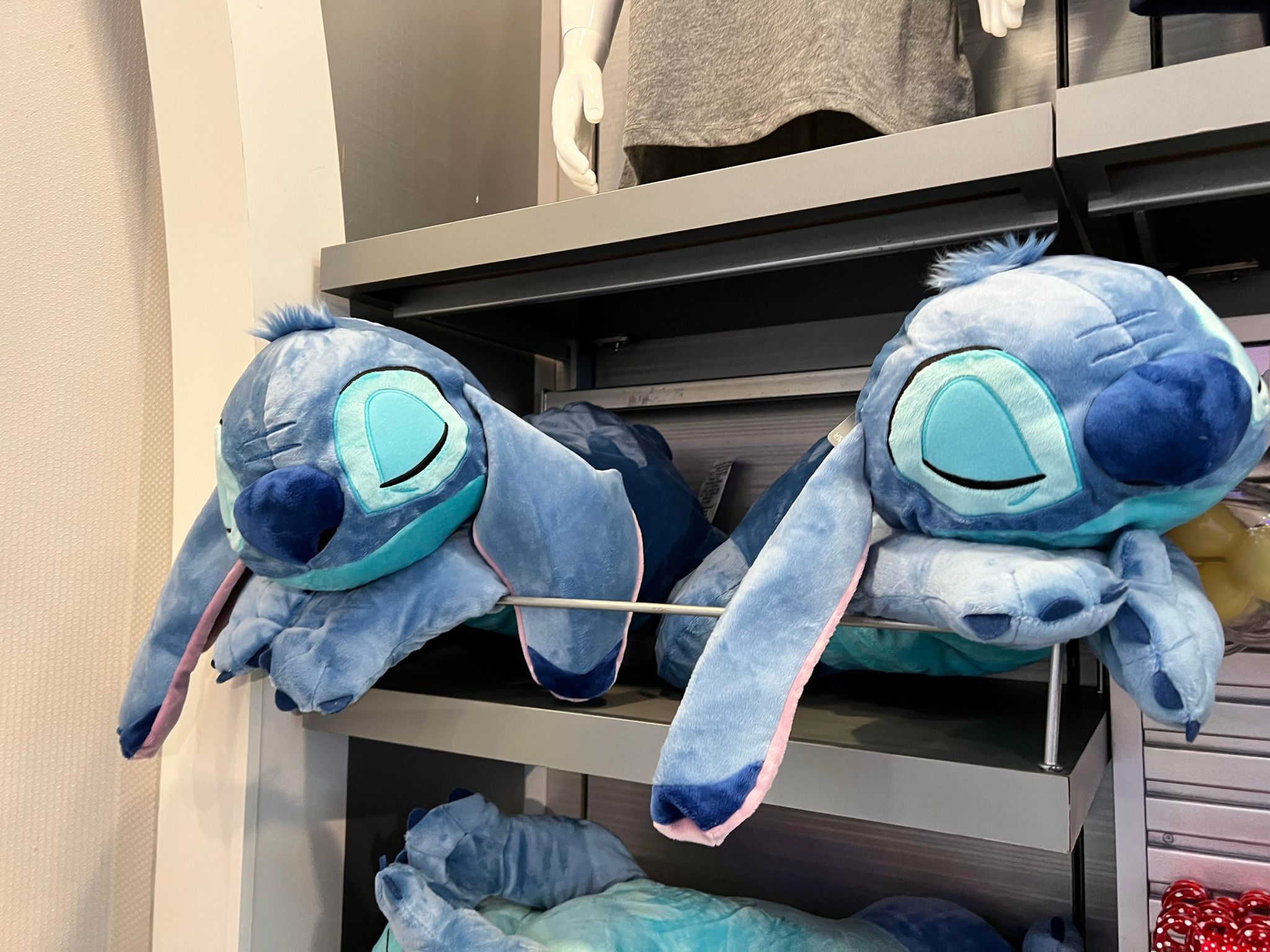 This Is Not A Test. Experiment 626 Has Been Spotted At Star Traders. Stitch is on the loose! Magic Kingdom 1