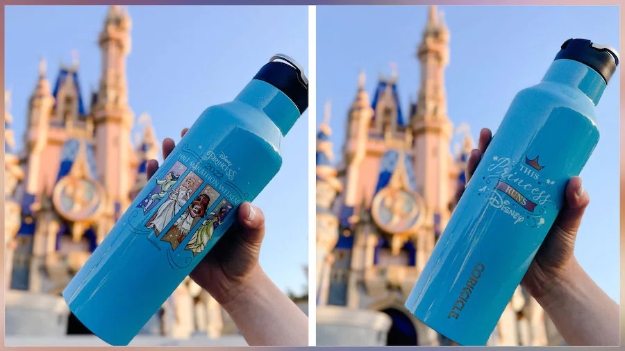 How Far are you Walking at Disney? Get Prepared for your next Disney Vacation. Tips 4